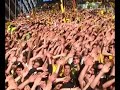 Du bist BVB