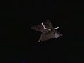paper mario 2 boss battle: bonetail