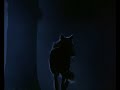 Beyond the wolves