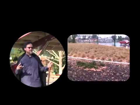 Muslims congregate to Istisqa (Prayer for rain) : By Shaykh Hamza Yusuf