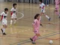 A Fervenza FSF