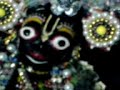 sri sri radha gopaljiu   dola yatra festival 2007