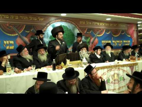 Dinover Bar mitzvah Menachem Av 5770
