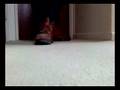 videos de Rockport Boots Brown