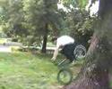 180 treeride