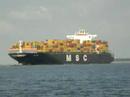MSC Ines
