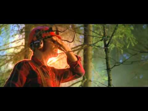 VAASAN RUISPALAT – Idoli