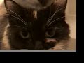 boy-gets-scared-to-tears.html