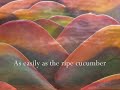 Om Tryambakam - The LIfe-Giving Prayer Om Tryambakam - The LIfe-Giving Prayer