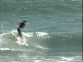 ozzie wright 156 tricks