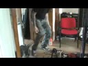 Godsplague Making H8 8April07 - Beavis & Butt-Head dance