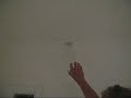 Huntsman spider Huntsman spider