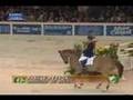 Equestrians Pushing to the Limits
