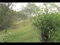 LUXURIOUS ACCOMODATION IN A STUNNING LOCATION I - ROMANIA EUROPE