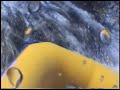 Whitewater Rafting Penobscot River 2006 w/ Helmet Cam