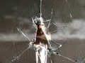 skat-feat-dirtyg-meine-stadt.html