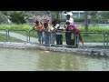 ALIMENTANDO PECES EN ZOOLOGICO DE HUACHIPA - MARIANELA PARINANGO