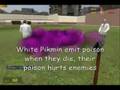 Garry's Mod - Pikmin