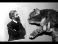 Improbable Research Collection #104 Improbable Research Collection #104