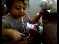 Daphy gauchita