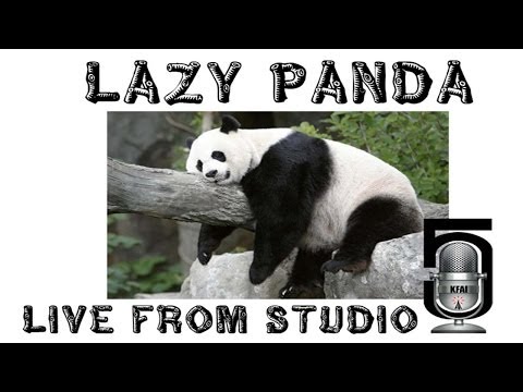 lazy panda - Lazy Panda performed