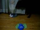 Hunter and Gavin.mov Hunter and Gavin.mov
