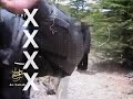 Videoclip Vama Dumnezeu nu apare la stiri
