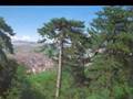 YOZGAT 66   !!