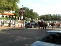 Fort Worth Stock Yards Viehtrieb