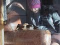 BC: New Mexico CLIPS BC: New Mexico CLIPS