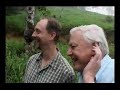 The Golden Frog: Gesture and Communication [Robin Allott]