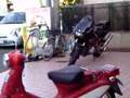 HONDA　Little Cobra　リトルカブ　TRX