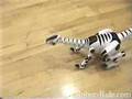 Roboreptile Review