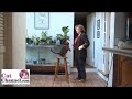 Cat Clicker Training 3: Jump/Sit/Stay - CatChannel.com Cat Clicker Training 3: Jump/Sit/Stay - CatChannel.com