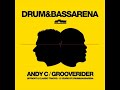 Drum and bass arena disc 1: back to your roots 04