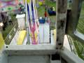 videos de Watkins Amusements Kamikaze At Traralgon Show 2008