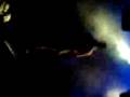 videos de schulze danct