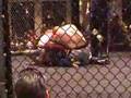 Chris Reitz at Battle at the Pier