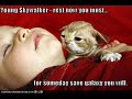 very funny cats 8