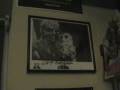 My Autograph / Signature Collection (part 1)