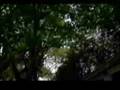 smail-Beyhan