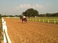 Folsom Thoroughbred Training Center 2 Folsom Thoroughbred Training Center 2