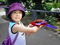 RAISING A CHILD WITH YOUR ASIAN GIRLFRIEND/WIFE RAISING A CHILD WITH YOUR ASIAN GIRLFRIEND/WIFE