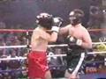 screech horseshack boxing part 3 of 3