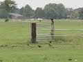 Kauen komen niet vooruit tegen de harde wind.
