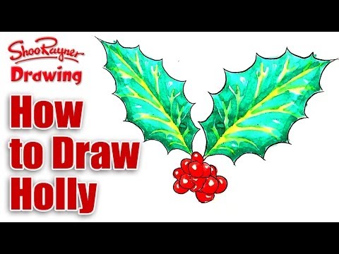 how to draw holly leaves
