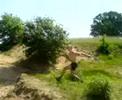 Airbach