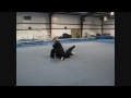 Sensei Arnold - Gendai Aikido