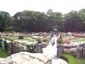 Peggy Lee Roosevelt Rose Garden