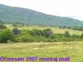 Dmanisi Ormesen